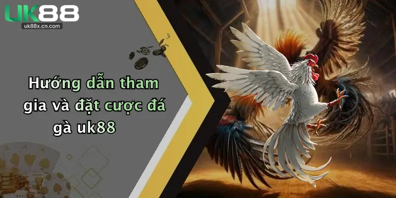 Hướng dẫn tham gia và đặt cược đá gà uk88